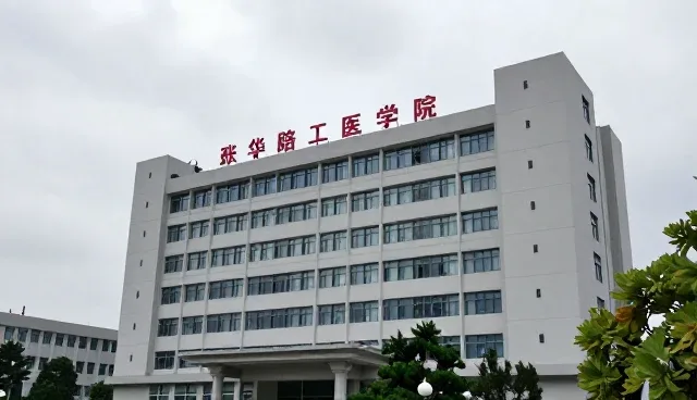 如何选择适合的媒介投放策略?