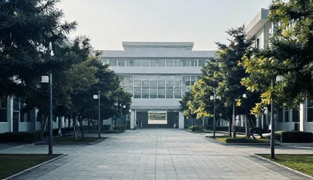 直播定制服务如何提升用户互动效果